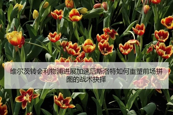 wei-er-ci-zhuan-hui-li-wu-pu-jin-zhan-jia-su-hou-si-luo-te-ru-he-zhong-su-qian-chang-pin-tu-de-zhan-shu-jue-ze-2-950.jpg
